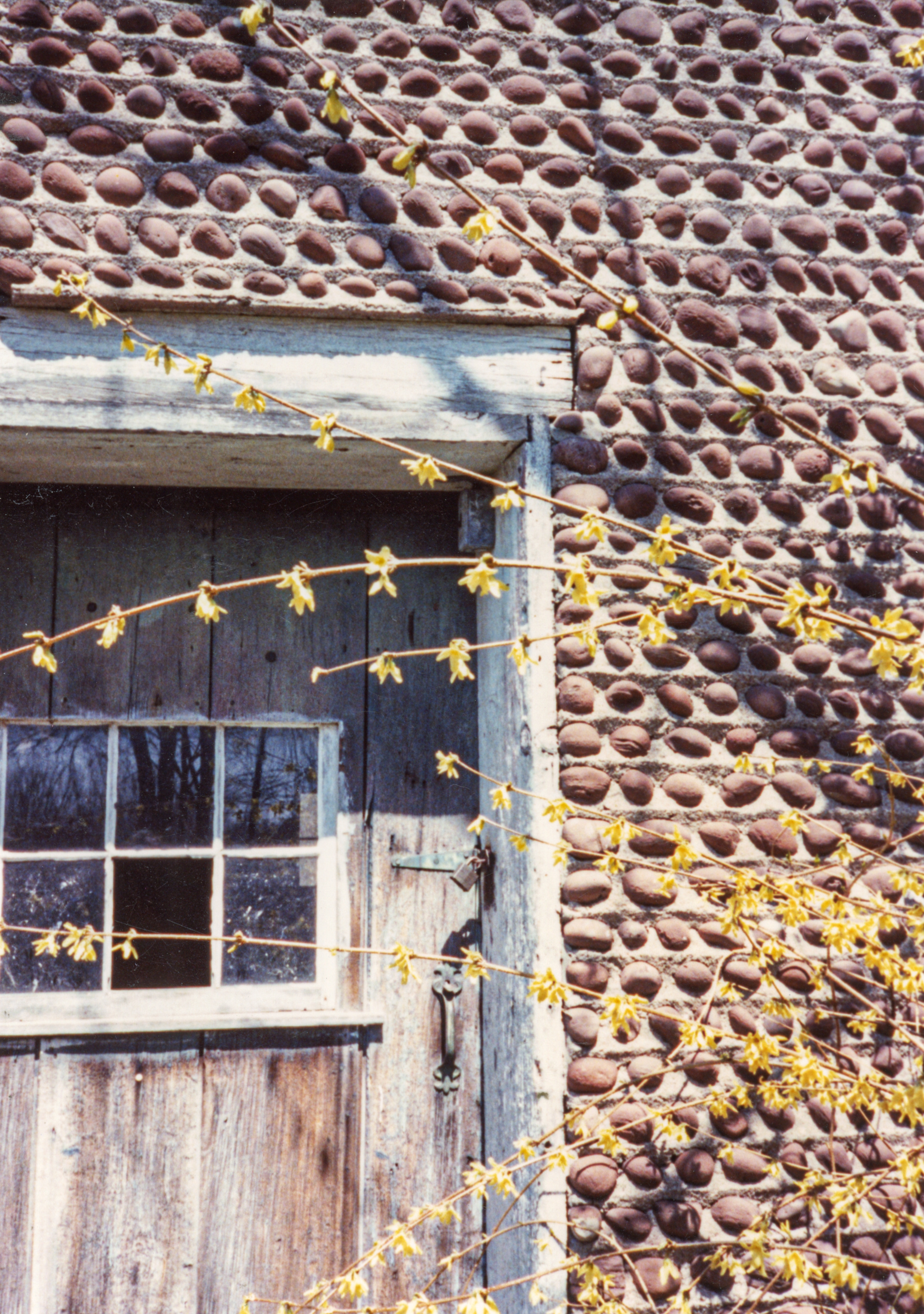Sod-21 Camp Beechwood 3